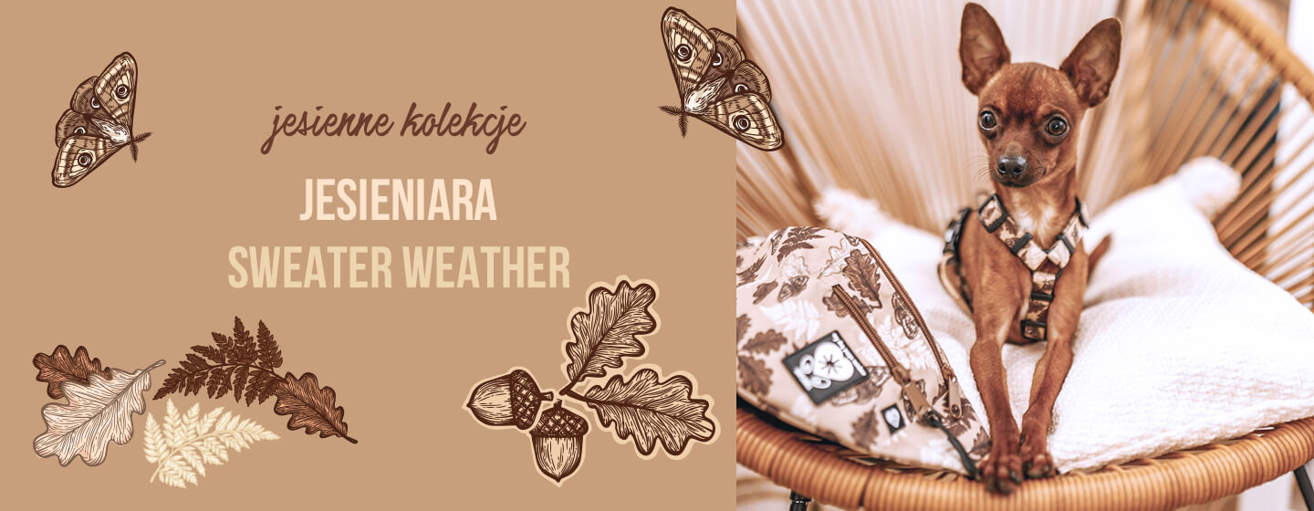 Nowe kolekcje - Jesieniara &amp; Sweater Weather