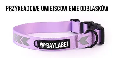 Przykładowe umiejscowienie odblasków