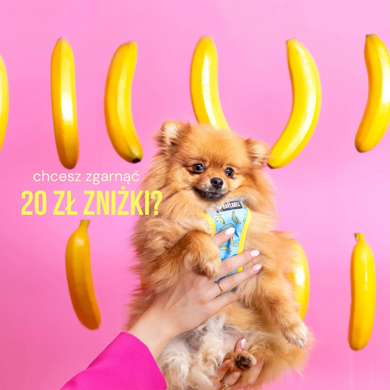 zgarnij 20zł zniżki
