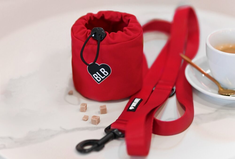 torebka na przysmaki doczepiana do smyczy dla psa