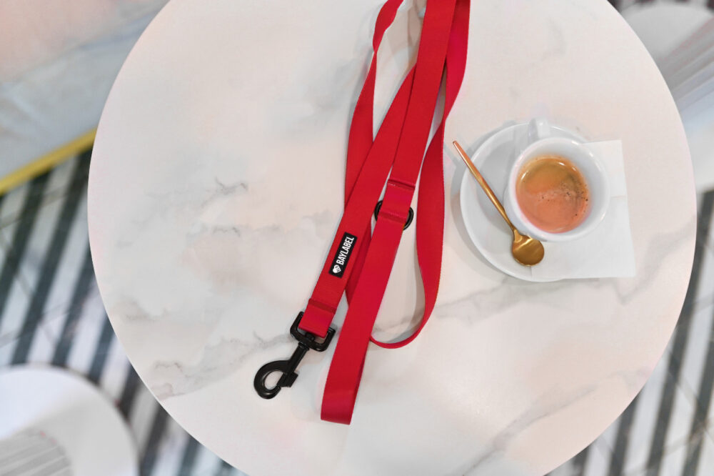 czerwona smycz dla psa