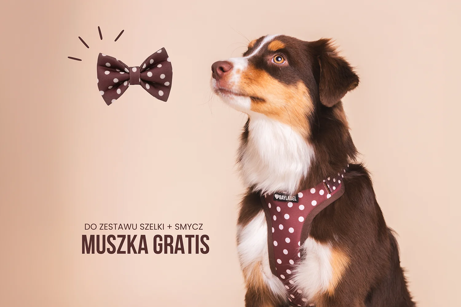 Promocja! Muszka Gratis!