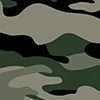 Forest Ranger