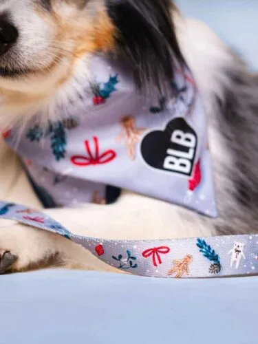 Brakuje tylko śniegu! ❄️ Piesek | smycz | christmas | akcesoria dla psów #pies #spacerzpsem #pieski #christmas