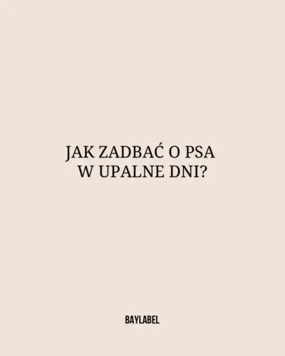 Ekstremalne upały w Polsce 🥵Zadbaj o swojego czworonożnego przyjaciela!Kilka porad jak przetrwać gorące dni i zadbać o psi dobrostan ❤️Prześlij dalej!Pies, pieski, psy, upały, zadbaj o psa, kochampsy #upały #pies #piesek #kochampsy