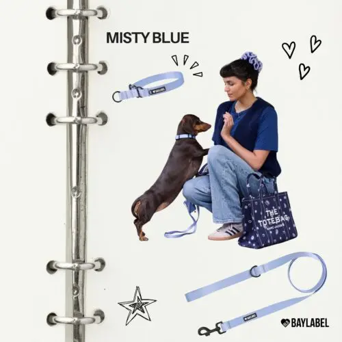 Widziałaś już Misty Blue?Kolor porannego spaceru we mgle 🩵Chłodny, spokojny, mglisty.Tego koloru nie da się zapomnieć.Obroża dla psa, niebieskie szelki dla psa, pies, jamnik #szelkidlapsa #jamnik #pies #dogmom