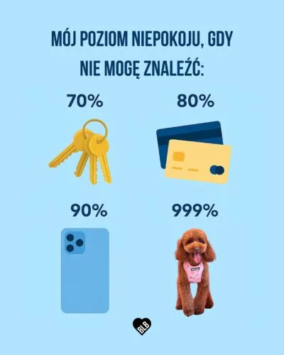 😰🐕 Znaleziony: śpiący na stercie świeżego prania ✅• pies • życie z psem • kocham pieski #mem #piesek #kochampsy #psiamama
