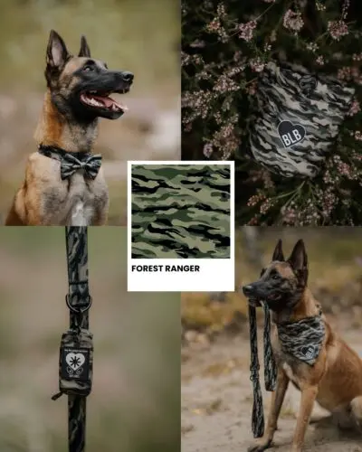 Jak spacer po lesie to tylko w moro Forest Ranger 💪🏻• szelki dla psa • moro • smycz • spacer z psem • malinois • guardy dla psa
#malinois #szelkidlapsa #szelki #dlapsa #spacerzpsem