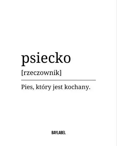 Tylko tyle i aż tyle.To nie dziecko. Ale opiekujemy się nim, zapewniamy najlepsze warunki, zaspakajamy potrzeby.I z okazji Dnia Dziecka życzymy wszystkiego najlepszego 🤍Pies, piesek, psia mama, życie z psem #pies #piesek #kochampsy