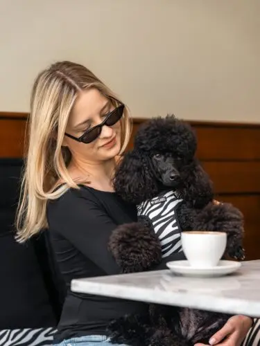 Celebrowanie wspólnych chwil 🤍Pomysł na dziś? Zatrzymaj się na moment i doceń obecność swojego czworonożnego przyjaciela 🐩Pies, piesek, szelki dla psa, pudelek, życie z psem
#kochampsy #pies #szelkidlapsa #życiezpsem
