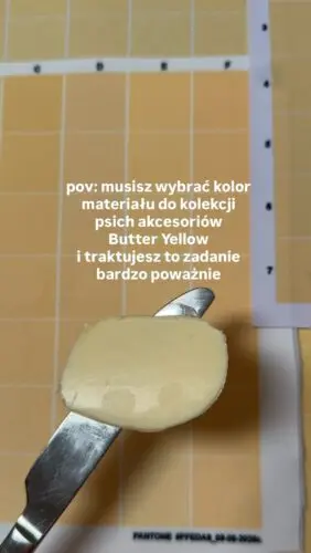 Bez żartów! Normalny dzień pracy w Baylabel 🧈Masło na nożu i lecimy, nowa kolekcja się sama nie wybierze 💛Szelki dla psa, piesek, masełko #baylabel #szelkidlapsa #butteryellow #humor #praca