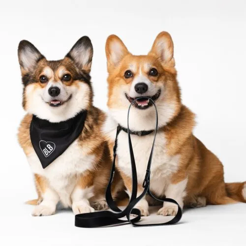 🔥 BLACK WEEK W BAYLABEL 🔥Przeceniliśmy wszystko o 20%! To największa i jedyna taką promocja w roku 🤍W zakładce wyprzedaż znajdziecie wzory tańsze nawet o 40%!Nie czekaj, wybierz najlepszy outfit dla swojego psa i kota już teraz 👉🏻 Baylabel.pl#blackweek #promocja #akcesoriadlapsa #blackfriday