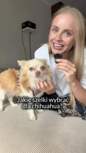 Jakie szelki wybrać dla chihuahua?✔️ wygodne
✔️ lekkie
✔️ dopasowane do anatomii psaPolecamy szelki bezuciskowe, czyli szelki typu guard z materiałowym panelem na brzuszku, który sprawia że szelki są bardziej stabilne i komfortowe.Dbamy o to, żeby nawet szczeniaczki chihuahua znalazły rozmiar dla siebie (najmniejszy rozmiar to XXS) 🧸Pamiętaj, żeby zmierzyć psa przed zakupem - tylko dobrze dobrany rozmiar gwarantuje komfort i bezpieczeństwo!Louis nosi szelki w rozmiarze XS 🫶🏻Naszą nową kolekcję Vienna Vichy znajdziesz już na stronie 🤎Szelki dla chihuahua, szelki dla małego psa, wygodne szelki, piesek, chi, chihuahua
#szelkidlachihuahua #szelkidlapsa #chihuahua #piesek