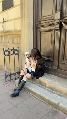 Momenty.@natkaandbons w zestawie Polka DotSzelki dla psa, szelki w kropki, shih tzu, szelki dla shih tzu, piesek, kocham psy #shihtzu #szelkidlapsa #psiamama #piesek #spacerzpsem