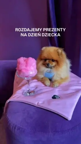 Chcesz dostać PYSZNY prezent dla swojego pieska? 🎀Zrób zakupy za min 149 zł, wpisz w koszyku kod GRATIS, a do Twojego zamówienia dołożymy naturalny gryzak lub zdrowe przysmaki dla pieska 🐕Akcja trwa do wyczerpania zapasów!Piesek • pies • szelki dla psa • psia mama #pies #dziendziecka #pieski #szelkidlapsa