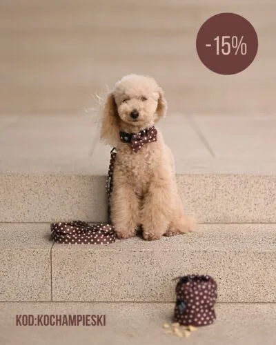 🐩 Świętuj z nami Dzień Psa 🤍❣️Stylowe i bezpieczne szelki, długie smycze, komfortowe obroże i inne najlepsze akcesoria dla psów kupisz teraz z 15% zniżką z kodem: KOCHAMPIESKI 🥰🗓️Akcja trwa do 04.07.2025 r. do 23:59Promocje nie łączą się! #dzieńpsa #akcesoriadlapsów #pudelek #pieski #szelki