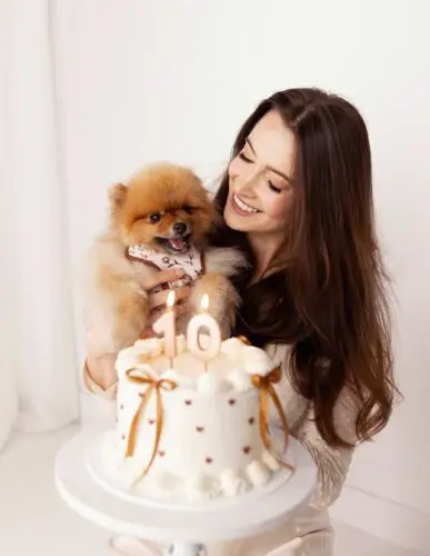 🎂 Urodziny świętujemy cały tydzień 🎂Z kodem BDAY bestsellery, nowości i wszystkie nieprzecenione produkty kupicie 15% taniej 🫶🏻Szelki dla psa, piesek, pies, akcesoria spacerowe, dla psa #piesek #pies #szelkidlapsa #promocja