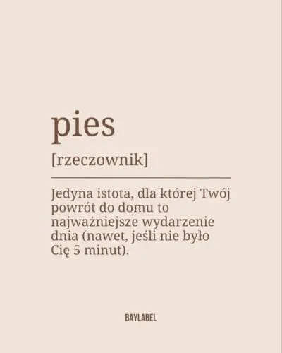 O czym zapomnieliśmy? 🙌🏻Pies, piesek, kocham psy, życie z psem #pies #zyciezpsem #pieski #kochampsy #psiamama