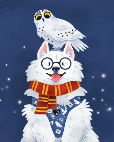 Dbamy o każdy detal, dlatego nasze akcesoria nie tylko są świetnie odszyte, ale też pięknie spakowane 🤍 Dla kolekcji Marked by Magic przygotowaliśmy nową wlepkę, która już niedługo przyozdobi paczki z magicznymi akcesoriami 🪄#samoyed #piesek #harrypotter #akcesoriadlapsa
Najlepsze szelki dla psa, smycz, obroża, akcesoria dla psów