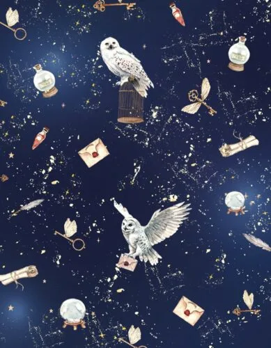 Spacery z psem pełne magii? Teraz to możliwe 🪄Nowa kolekcja Marked by Magic inspirowana światem czarodziejów, zaklęć i eliksirów to idealna propozycja na klimatyczne jesienne spacery z psem (i kotem) 🤍Kto chce się przenieść do świata magii z Baylabel? 🦉#akcesoriadlapsa #magia #jesień #czarymary #spacerzpsem #pieski