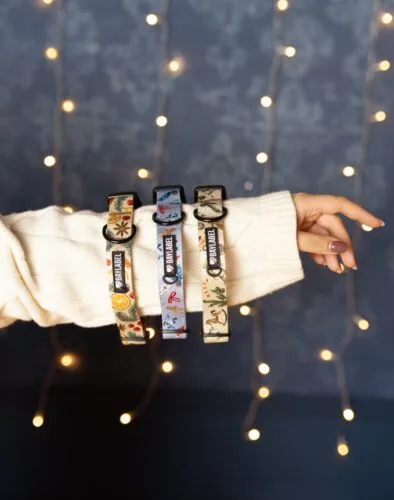 Czekamy na pierwszy śnieg z najpiękniejszymi zimowymi wzorami 🤍Który print skradł Twoje serce?
Zimowa herbata Ginger Tea Time 🫖
Błękit zimy Winter Wonderland ❄️
Czy może uroczy Santa’s workshop 🧸Zimowe akcesoria dla psa | święta | pieski | obroża
#pies #obroza #swieta