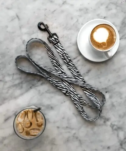 Sunday ☕️Obok tego printu NIE DA SIĘ przejść obojętnie 🤍To nie jest tylko smycz. To modny dodatek do Twojego outfitu 🦓Uwaga! Zakup grozi pytaniami: skąd ten piękny zestaw? ✨szelki dla psa, smycz, akcesoria spacerowe, pies, życie z psem #akcesoriadlapsa #smycz #spacerzpsem #pies