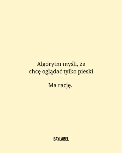 100%Życie z psem, pies, piesek, kocham psy  #pies #psiamama #życiezpsem #kochampsy