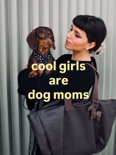 🖤 Cool girls are dog moms 🖤Dog mum, pies, piesek, psia mama
#piesek #kochampsy #psiamama #pies