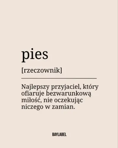 Dziś Dzień Psa - najlepszego przyjaciela człowieka.Dziękujemy, że jesteście. Postaramy się zasłużyć na Waszą miłość ❤️Pies, dzień psa, kocham psy, psia mama #pies #piesek #kochampsy #psiamama #dzieńpsa
