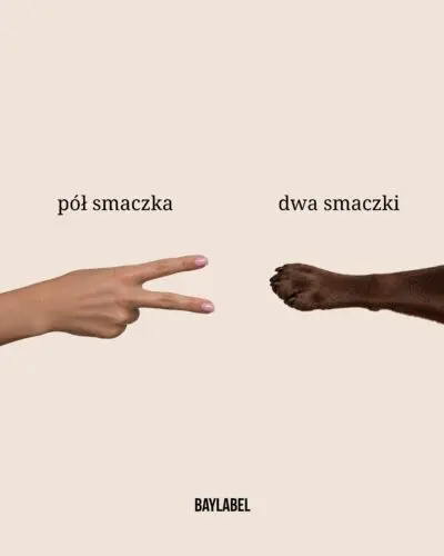 A u Was? Kto zawsze wygrywa? 🐶Pies, piesek, kocham psy, życie z psem #pies #zyciezpsem #pieski #kochampsy #psiamama