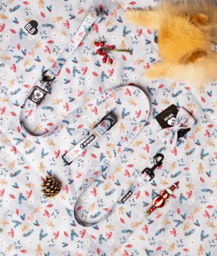 ❄️ Winter Wonderland ❄️Daj się porwać na zimowy spacer 🦮akcesoria dla psa | szelki | smycz | obroża | dla psa #święta #akcesoriadlapsa #pieski #dlapsa